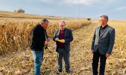 AK Parti Polatlı İlçe Başkanlığı'nın Tarlada İzi Var