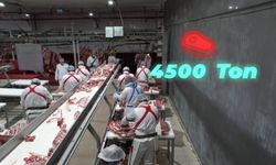 Bakan Yumaklı, '4 bin 500 ton kırmızı et üretimi ile Elazığ'ın tarımsal ve ekonomik potansiyeline güçlü bir katkı sağlayacağız'