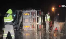 Polatlı’da Hayvan Yüklü Kamyon Devrildi