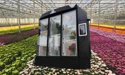 Çiçek Gibi Haymana İçin Adım Adım