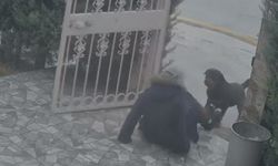 Ankara'da sahipsiz köpeklerin saldırısına uğrayan kadın komşusunun müdahalesiyle kurtuldu