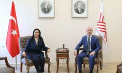 AK Parti Genel Başkan Yardımcısı Tuncer: 'Mimarlık Eğitimi Raporu hazırlayarak, Yükseköğretim Kurulu'na sunduk'