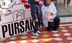 Pursaklar'da öğrencilerden kedi evine ziyaret