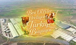 Suluova Besi OTB'de 15 bin 650 büyükbaş kapasite, bin 500 kişiye istihdam