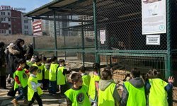 Minikler için doğada eğlence ve eğitim bir arada