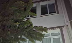 Ankara'da söndürülemeyen ağaç bir daireyi kullanılamaz hale getirdi