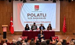 CHP’nin İlçe Danışma Kurulları Polatlı, Beypazarı ve Şereflikoçhisar’da Toplandı