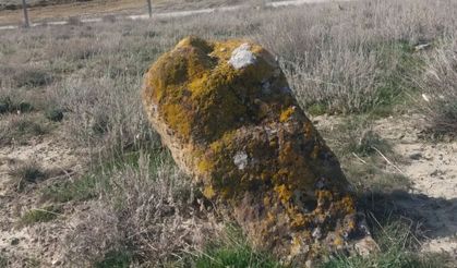 Bastığın Yerleri “Toprak” Diyerek Geçme, Tanı!