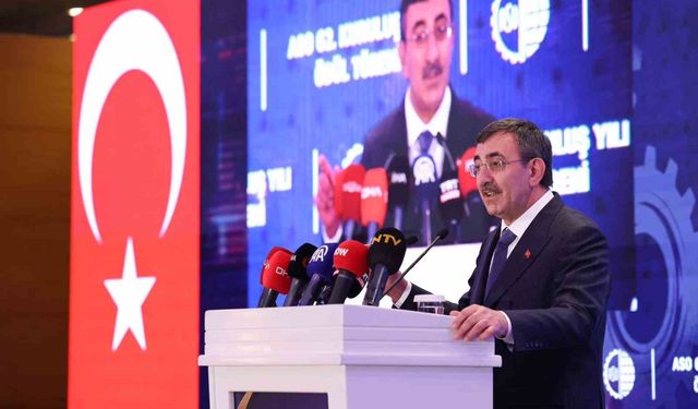 Cumhurbaşkanı Yardımcısı Yılmaz: ''Enflasyon tekrar düşüş eğilimine girmiş durumda'