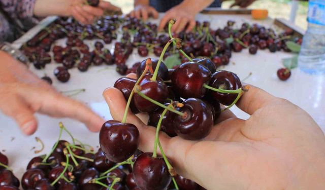 15 Aralık'ta okullarda 'Coğrafi İşaret Günü' kutlanacak