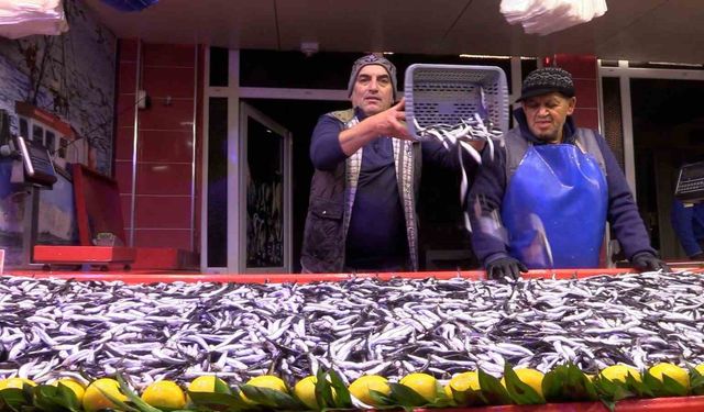 Bolu'da hamsinin kilosu 150 liraya düştü