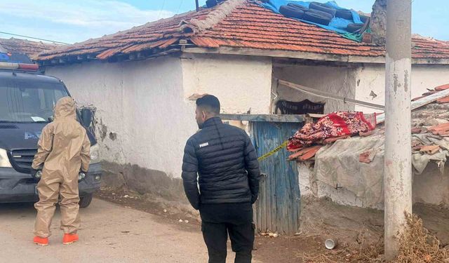 Boyaya eklenen katkı maddesi felakete yol açtı: 3 tarım işçisi ve 1 bebeğin durumu ağır