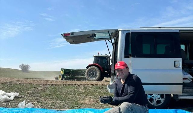 Beypazarı'nda çörek otu ekimi başladı