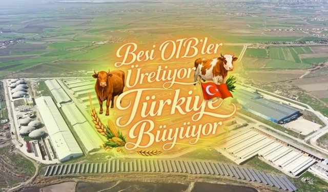 Suluova Besi OTB'de 15 bin 650 büyükbaş kapasite, bin 500 kişiye istihdam
