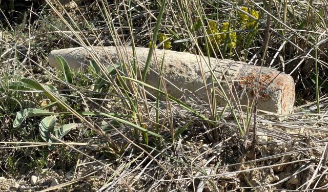 Ankara'da vatandaş mantar ararken patlamamış top mermisi buldu