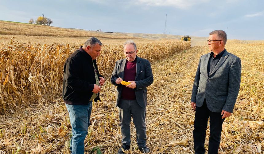 AK Parti Polatlı İlçe Başkanlığı'nın Tarlada İzi Var