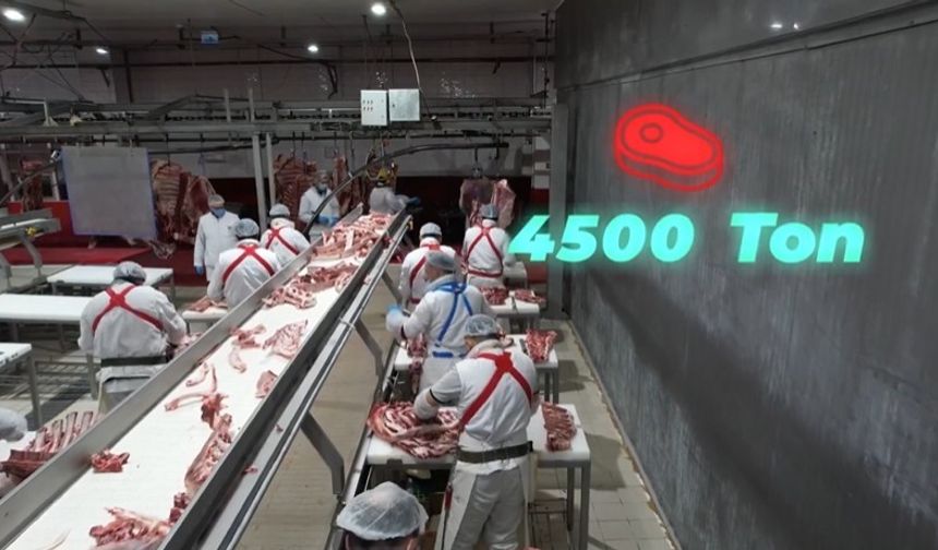 Bakan Yumaklı, '4 bin 500 ton kırmızı et üretimi ile Elazığ'ın tarımsal ve ekonomik potansiyeline güçlü bir katkı sağlayacağız'