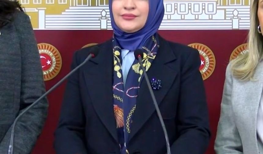 KEFEK Başkanı Erdoğan: 'TBMM'deki taciz iddialarının sonuna kadar takipçisi olacağız'