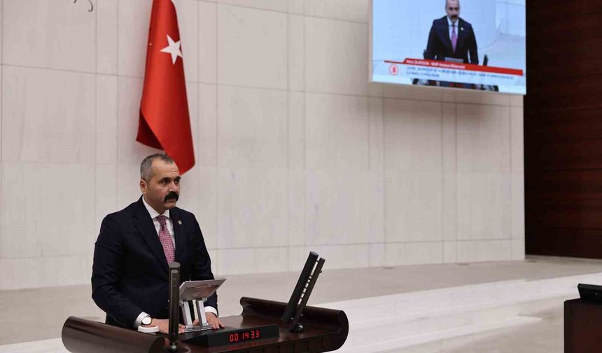 MHP'li Durgun: 'Pestisit iddiaları kamuoyunda abartılı şekilde yer buluyor'