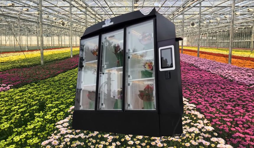 Çiçek Gibi Haymana İçin Adım Adım