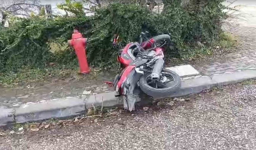 Ankara'da motosiklet sürücüsü köpeğe çarpmamak isterken kaza yaptı