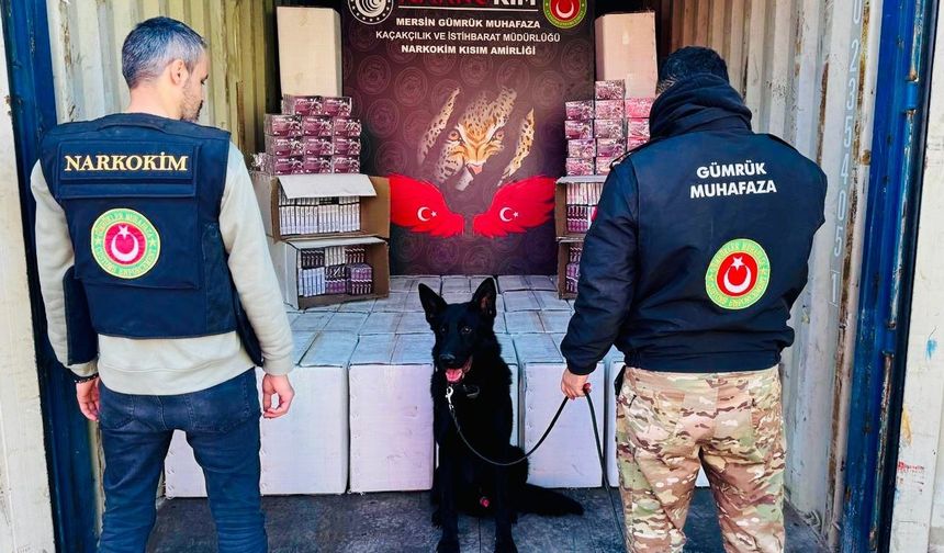 Gümrükler Muhafaza Kaçakçılık ve İstihbarat birimlerince gerçekleştirilen operasyonlarda 4,6 milyar lira değerinde ilaç ve uyuşturucu madde ele geçirildi