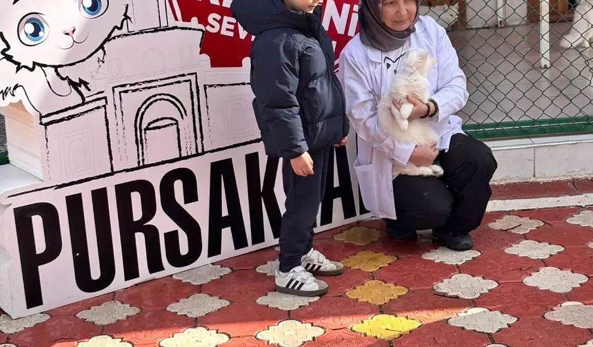 Pursaklar'da öğrencilerden kedi evine ziyaret