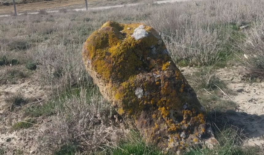 Bastığın Yerleri “Toprak” Diyerek Geçme, Tanı!