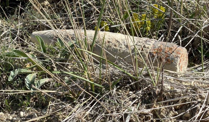 Ankara'da vatandaş mantar ararken patlamamış top mermisi buldu