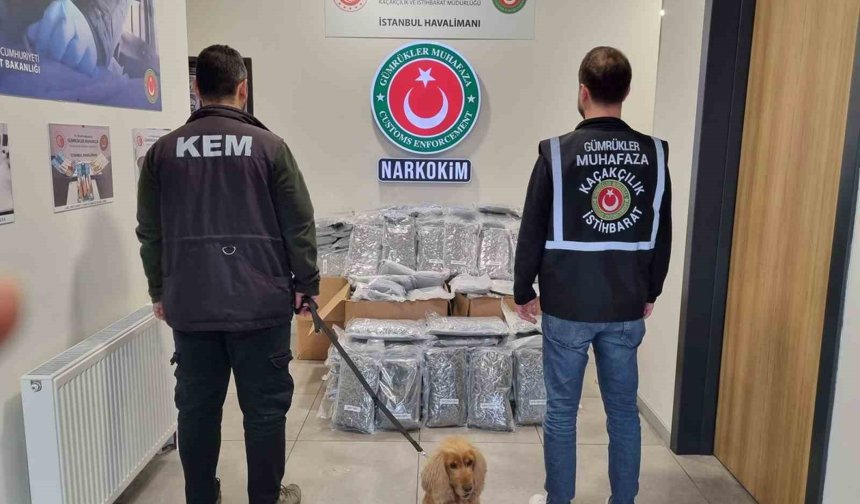 Gümrükler Muhafaza ekipleri piyasa değeri 378 milyon olan 420 kilo uyuşturucu madde yakaladı
