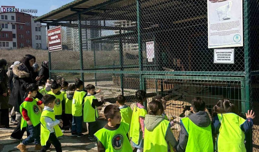 Minikler için doğada eğlence ve eğitim bir arada