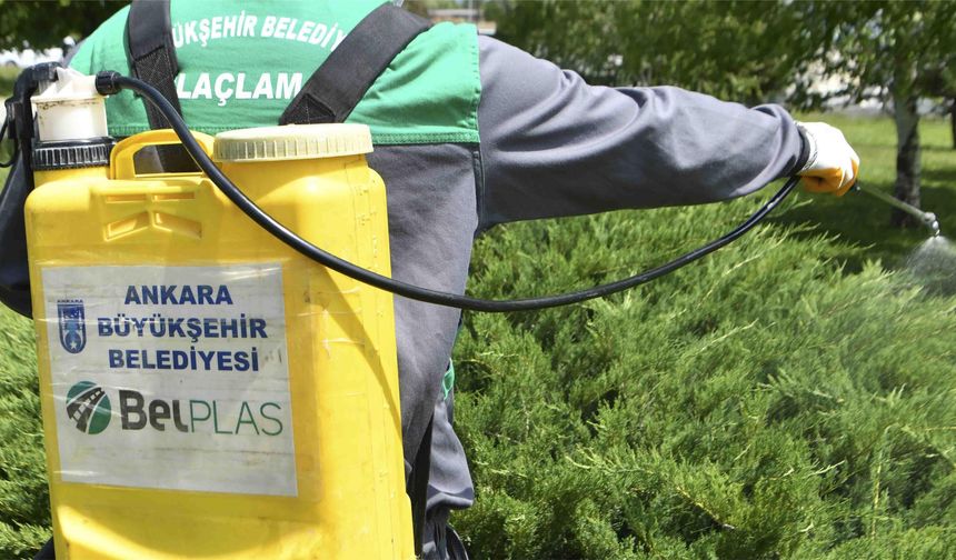 Başkent'in 25 İlçesinde İlaçlama Seferberliği