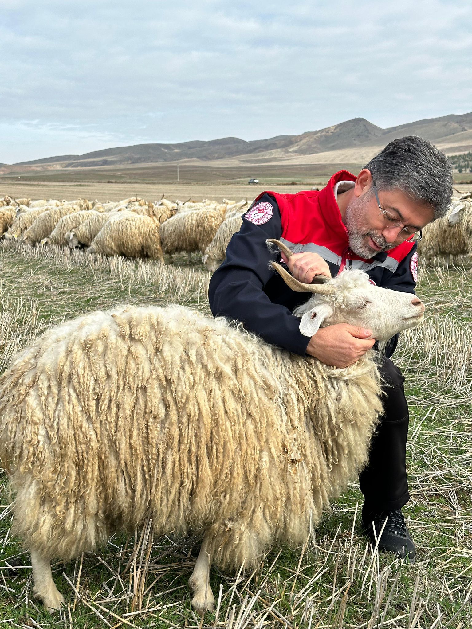 Whatsapp Image 2025 12 14 At 14.43.42 (1)