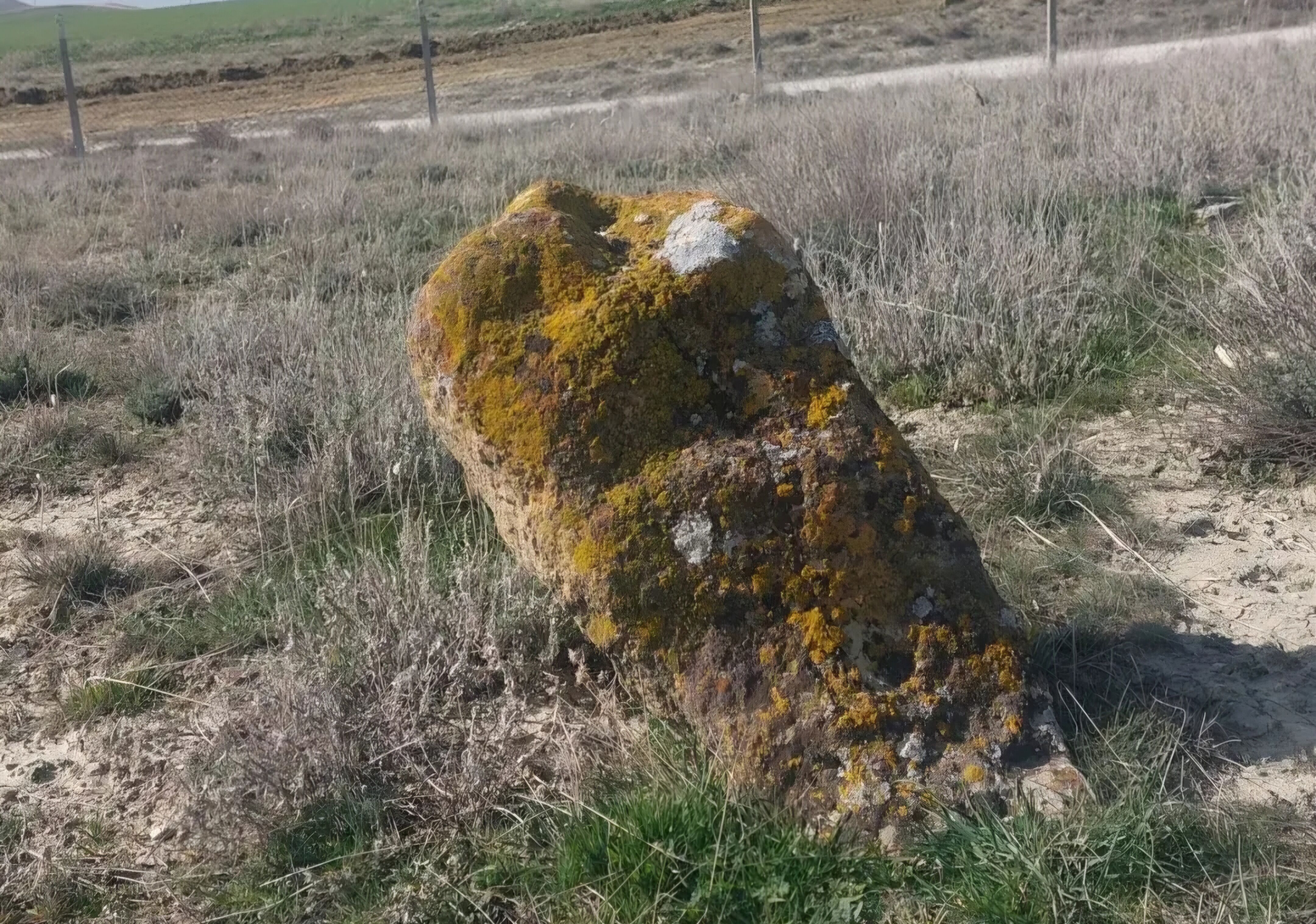 Bastığın Yerleri “Toprak” Diyerek Geçme, Tanı!