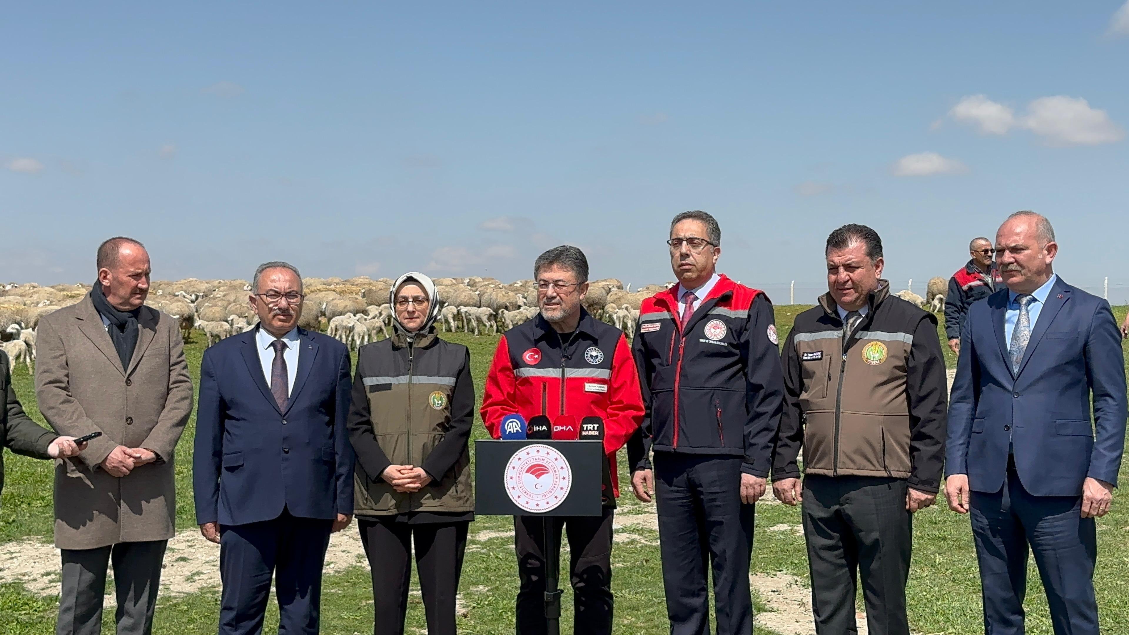 I M G 20260413 W A0017