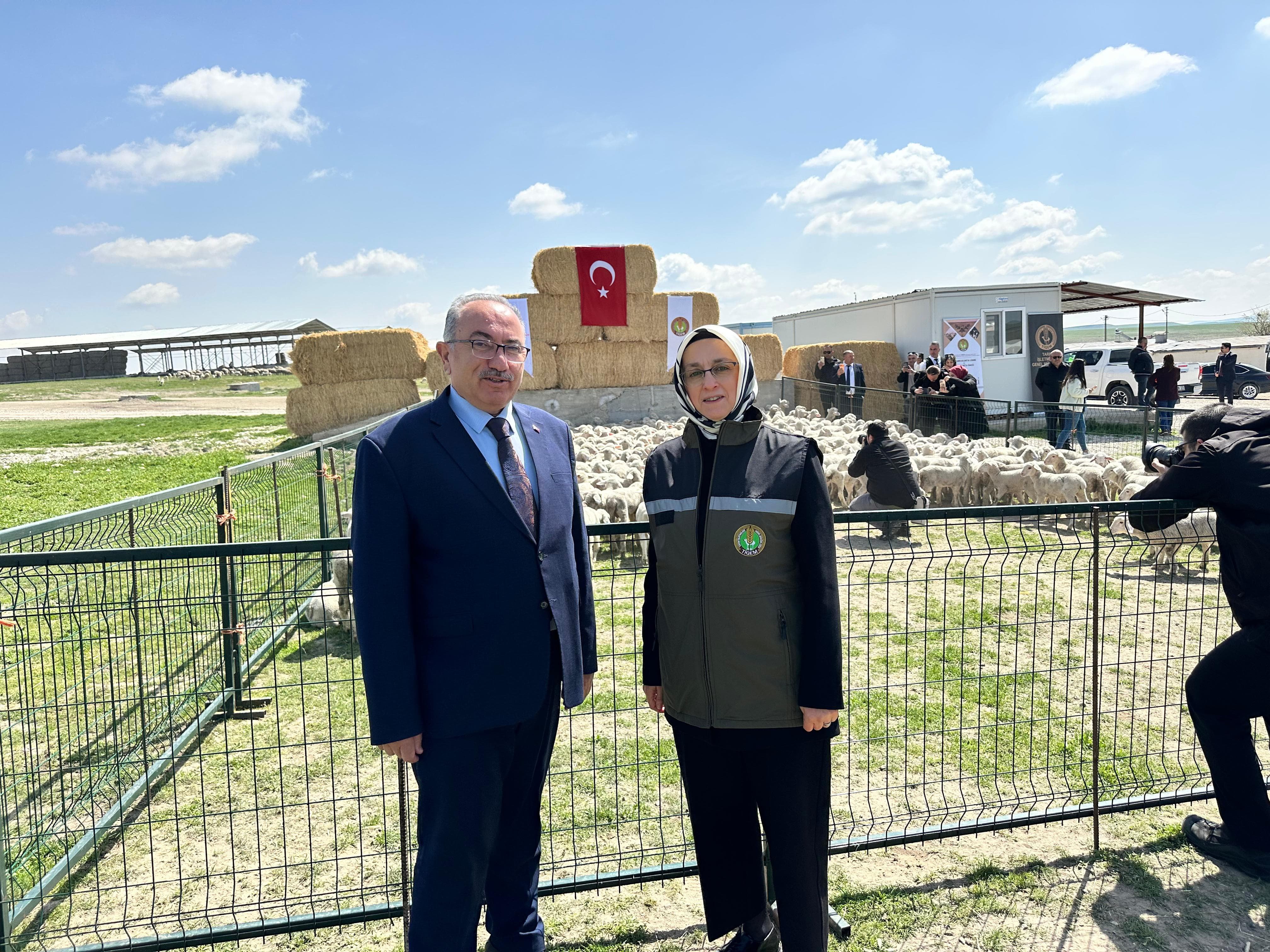 I M G 20260413 W A0034